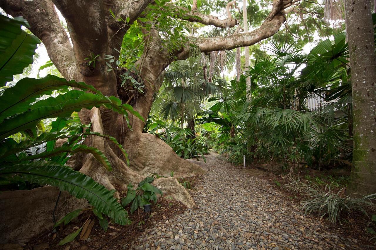 Rainforest Castaways Resort And Spa Mission Beach Luaran gambar
